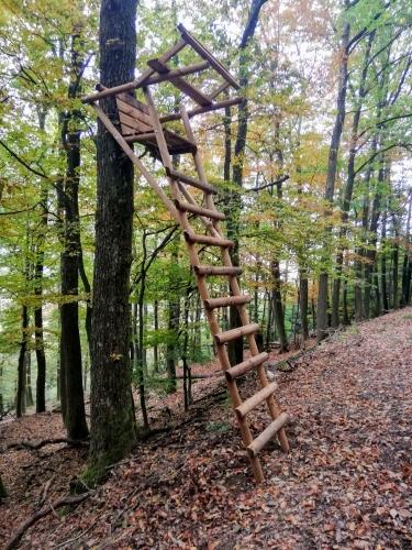 Baumleiter für Drückjagd ,Augenhöhe 4,00m