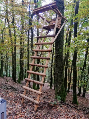 Baumleiter für Drückjagd ,Augenhöhe 4,00m Baumleiter für Drückjagd ,Augenhöhe 4,00m