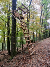 Baumleiter für Drückjagd ,Augenhöhe 4,00m